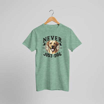 fef146a7-d642-4018-8ab0-1b8ec3f604c2