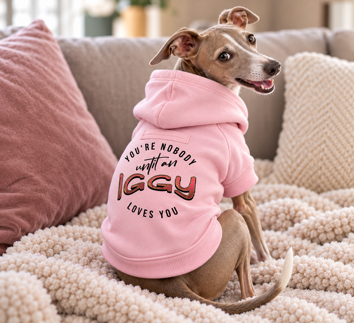 You're Nobody Until An Iggy Loves You – Premium Dog Hoodie